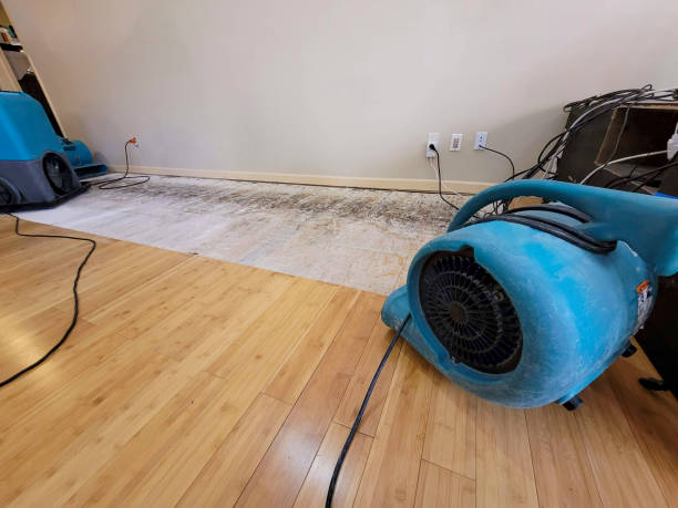 Professional Structural Drying technician working in Hugo, OK